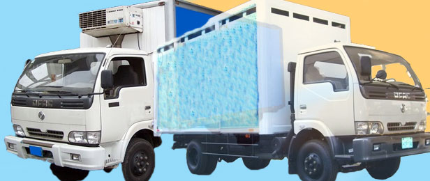 Ficha tecnica DFM Cummins