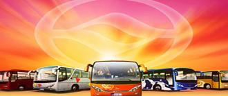 SG Automotive Group. 